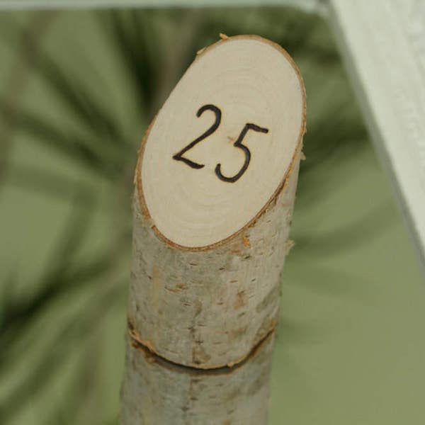 Set of 20 table number holders , birch table number holders, rustic wedding decor, woodland wedding decor, chabby chic dercor, farm wedding.