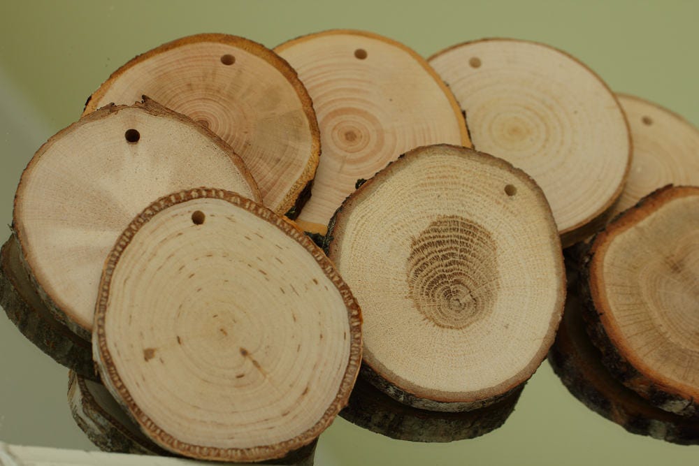 Set of 10 wooden slices with hole, wood rounds , wooden ornamets, woo…