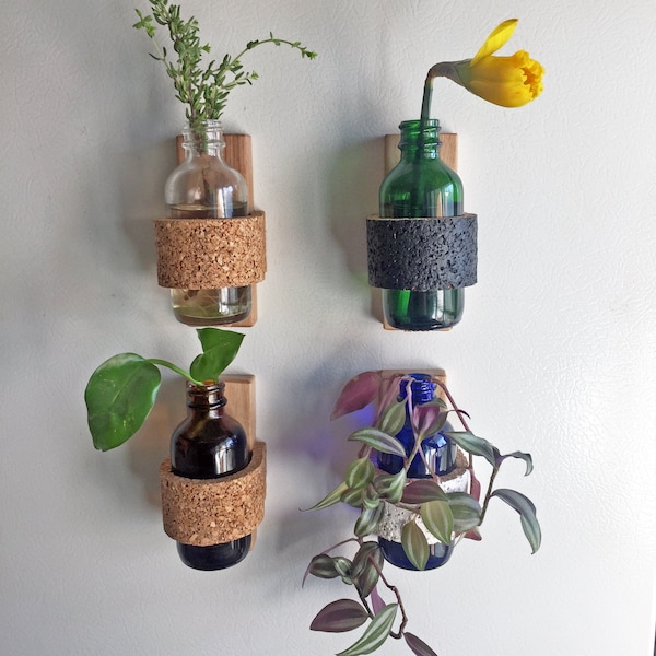 Magnetic Planter | Cork | Flower cuttings | Propagation Station