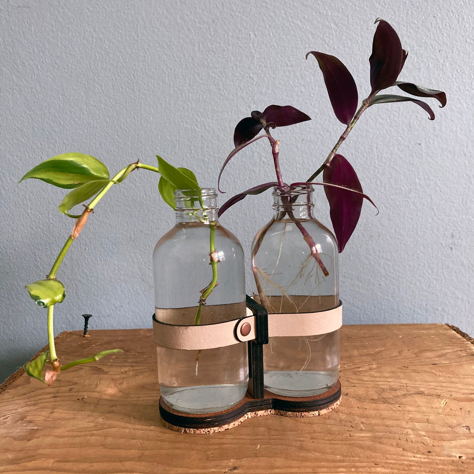 Propagation Station Glass Vase Propagation Vase Glass Etsy