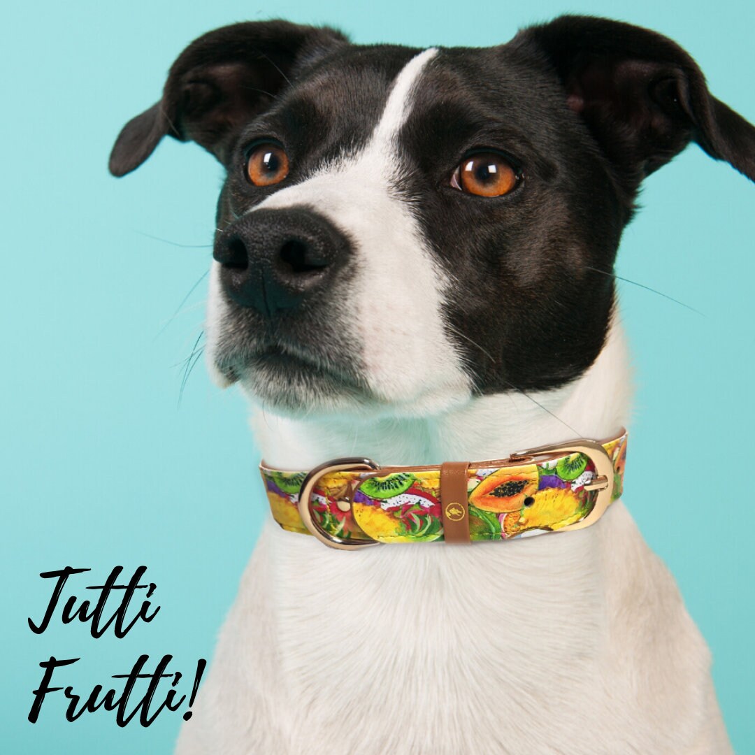 Dog Collar With a Matching Friendship Bracelet for the Owner Etsy