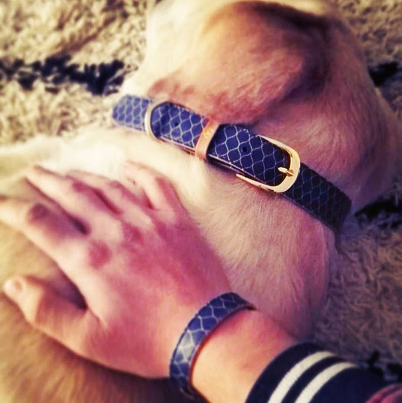Dog Collar With a Matching Friendship Bracelet Set / the Etsy
