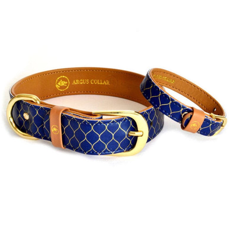 Dog collar with a matching friendship bracelet set / The