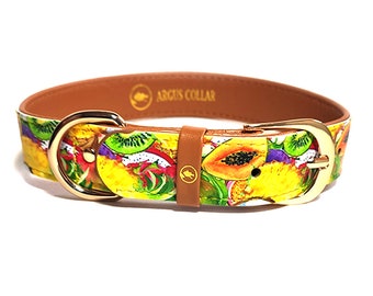 mango dog collar