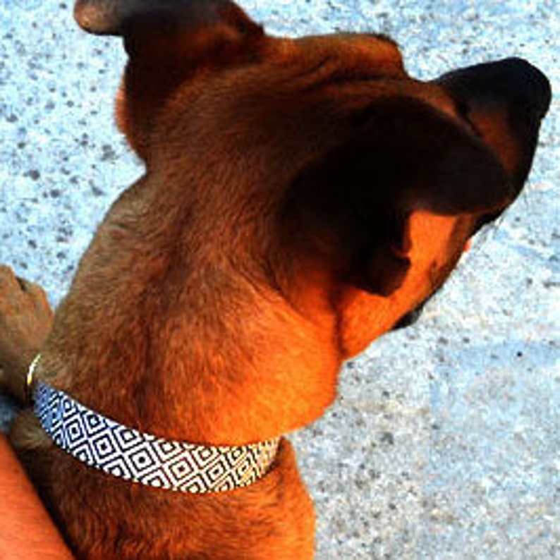 Dog Collar for Boys / Dog Collar Black and White / Chevron Dog Etsy
