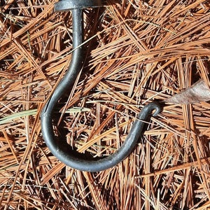 Peut inclure: Un crochet en m&eacute;tal noir avec une extr&eacute;mit&eacute; arrondie, pos&eacute; sur un lit d'aiguilles de pin brunes.