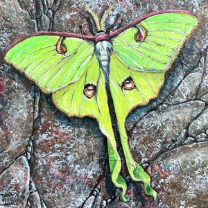 Luna Moth Art, Luna Moth Painting // One of A Kind Painting on Wood Panel // NOT A PRINT// Butterfly, Insect, Moon Moth, Witchy Aesthetic