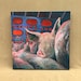 Vegan Art Animal Rights Art Pig Painting Original One of a - Etsy