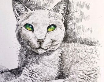 Pet Portrait, Custom One of A Kind Pen and Ink Pet Portrait,  Portrait of Your Pet, Hand Drawn TO ORDER, CUSTOM