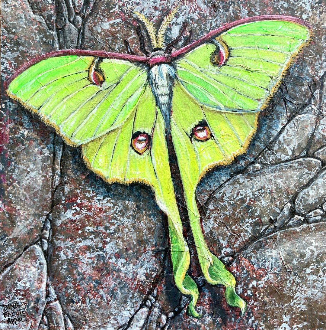 Luna Moth Art, Luna Moth Painting // One of A Kind Painting on Wood ...