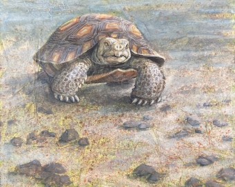 Tortoise Painting, Tortoise Art // One of A Kind Painting on Wood Panel / NOT A PRINT// Desert Tortoise, Desert Animals, Wildlife Art