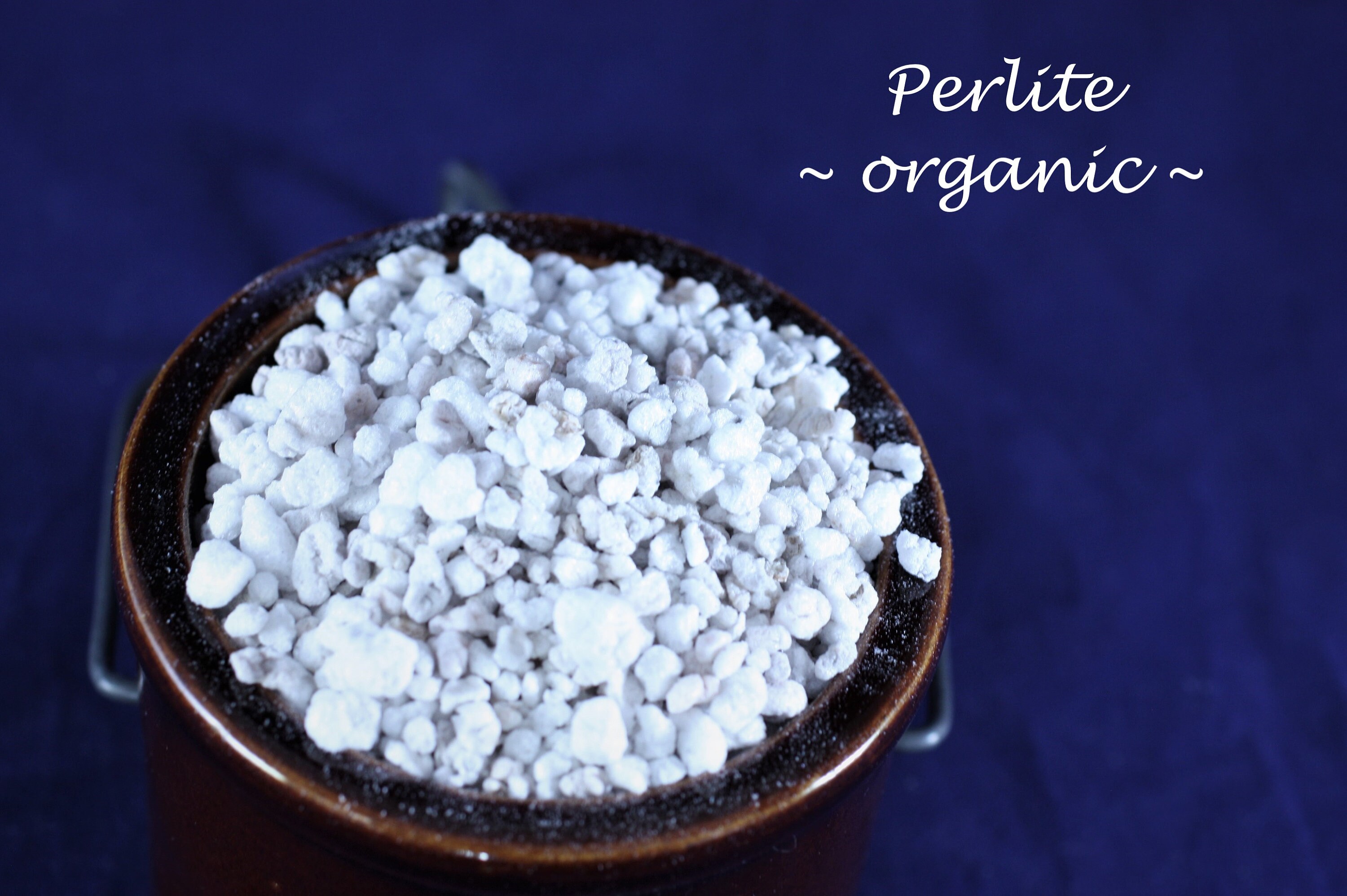 Perlite Medium Size Seed Starting Hydroponics Etsy