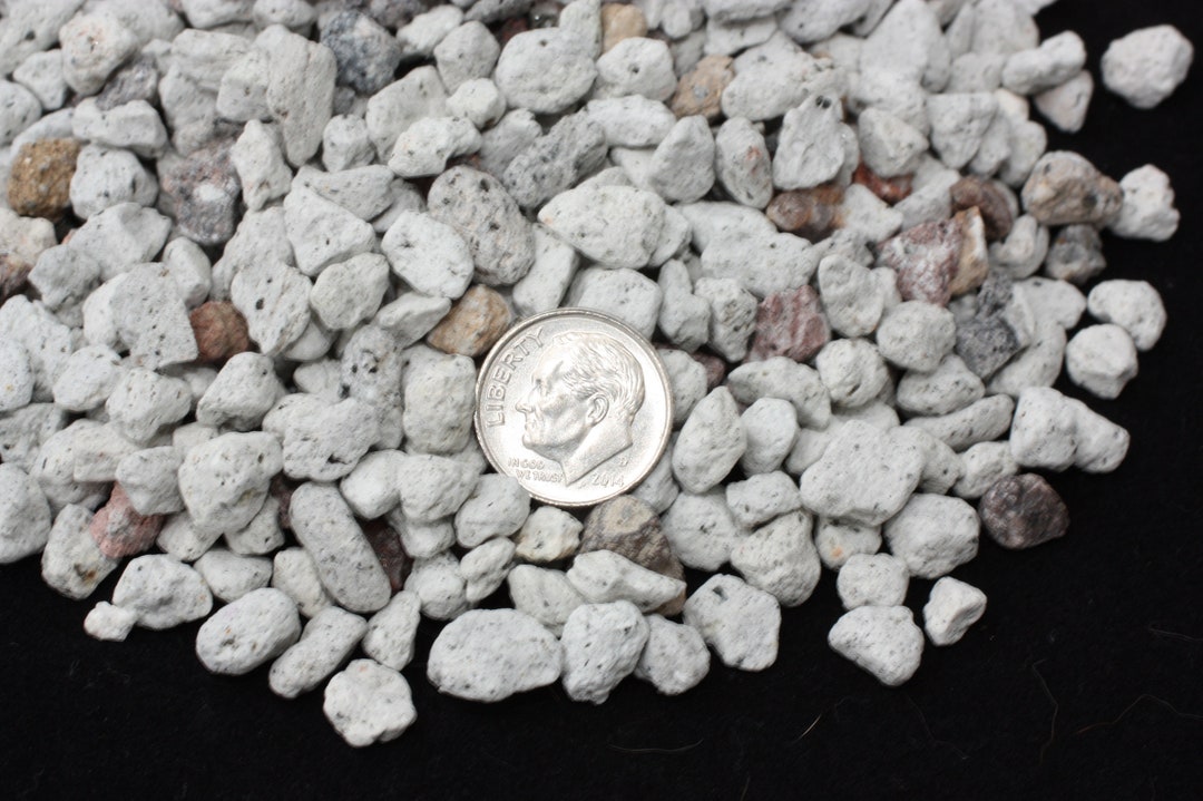 Pumice for Plants 3/8, 1/4, 1/8 for Cactus, Succulents, Bonsai, and