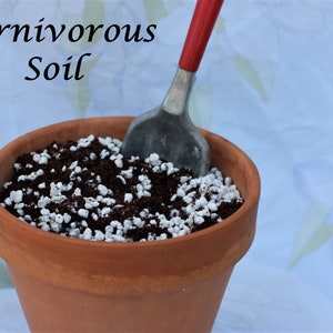 Care for your  Carnivorous Garden with Premium Soil Blend: Butterworts, Flytraps, Sundews, Pitcher Plants and our Other Carnivore friends!