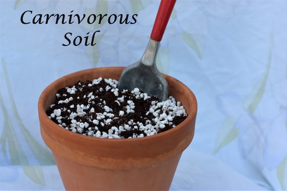 Carnivorous Plant Custom Soil Blend: Organic Peat Moss & Perlite, Small  Batch, Hand Mixed - Etsy