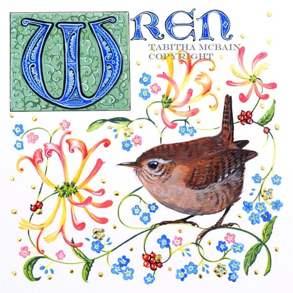 Wren illuminated manuscript letter greeting card, honeysuckle, English artist, medieval style, gothic, bird, wildflowers, Tabitha McBain