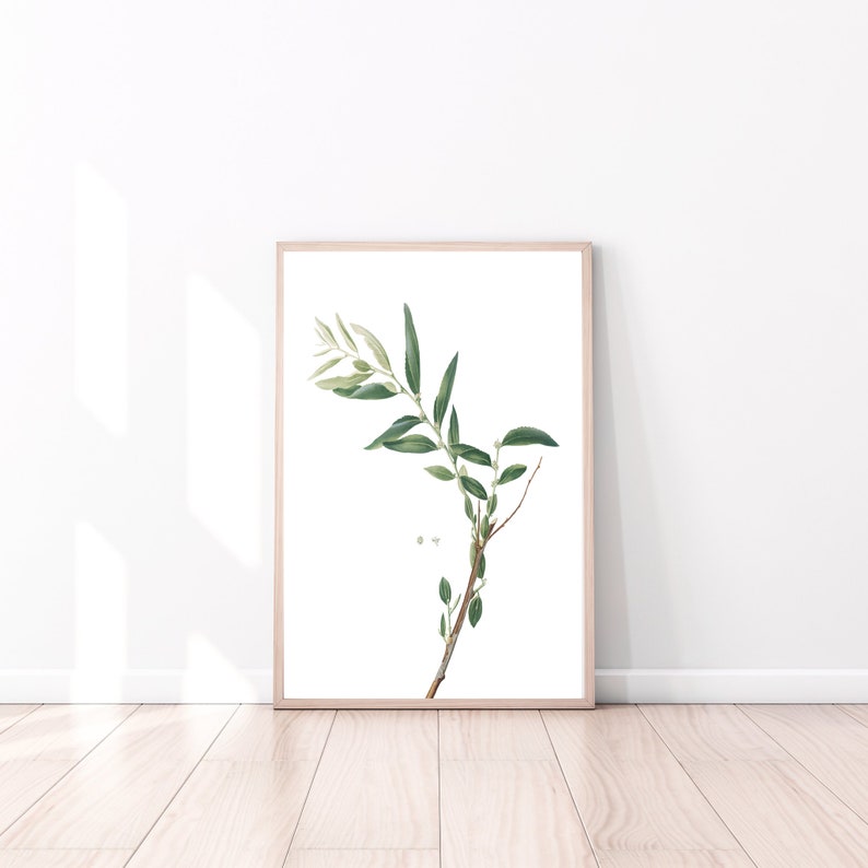 Branch Decor, Branch Wall Art, Botany Print, Plant Prints, Botanical Wall Decor, Digital Art, Green Artwork, Green Wall Art, Printable Art image 2