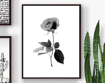 Estampado floral, láminas de flores en blanco y negro, arte mural de rosas, arte digital imprimible