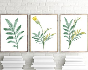 Set Of 3 Botanical Prints, Yellow Flower Wall Decor, Green Leaves Printable Digital Art