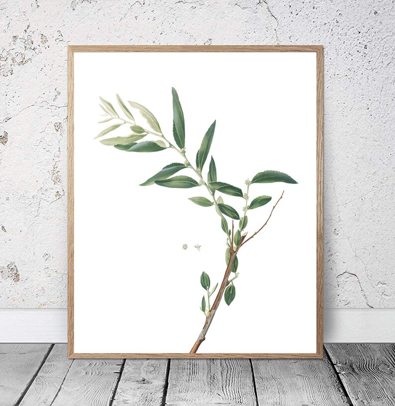 Branch Decor, Branch Wall Art, Botany Print, Plant Prints, Botanical Wall Decor, Digital Art, Green Artwork, Green Wall Art, Printable Art image 1