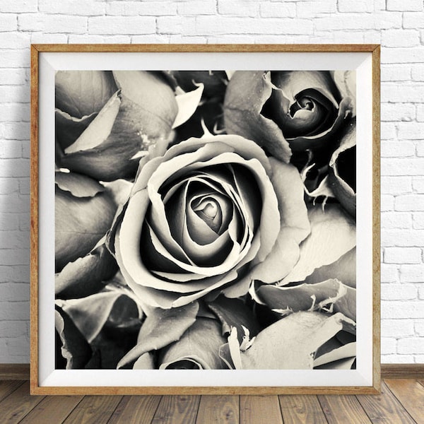 Black and White Flower Print, Rose Artwork, Floral Wall Decor, Printable Digital Art