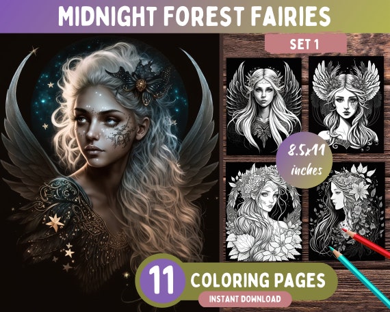 Forest Fairies - Fairy Forest in Midnight Forest Fairies - Fairy Forest in Midnight