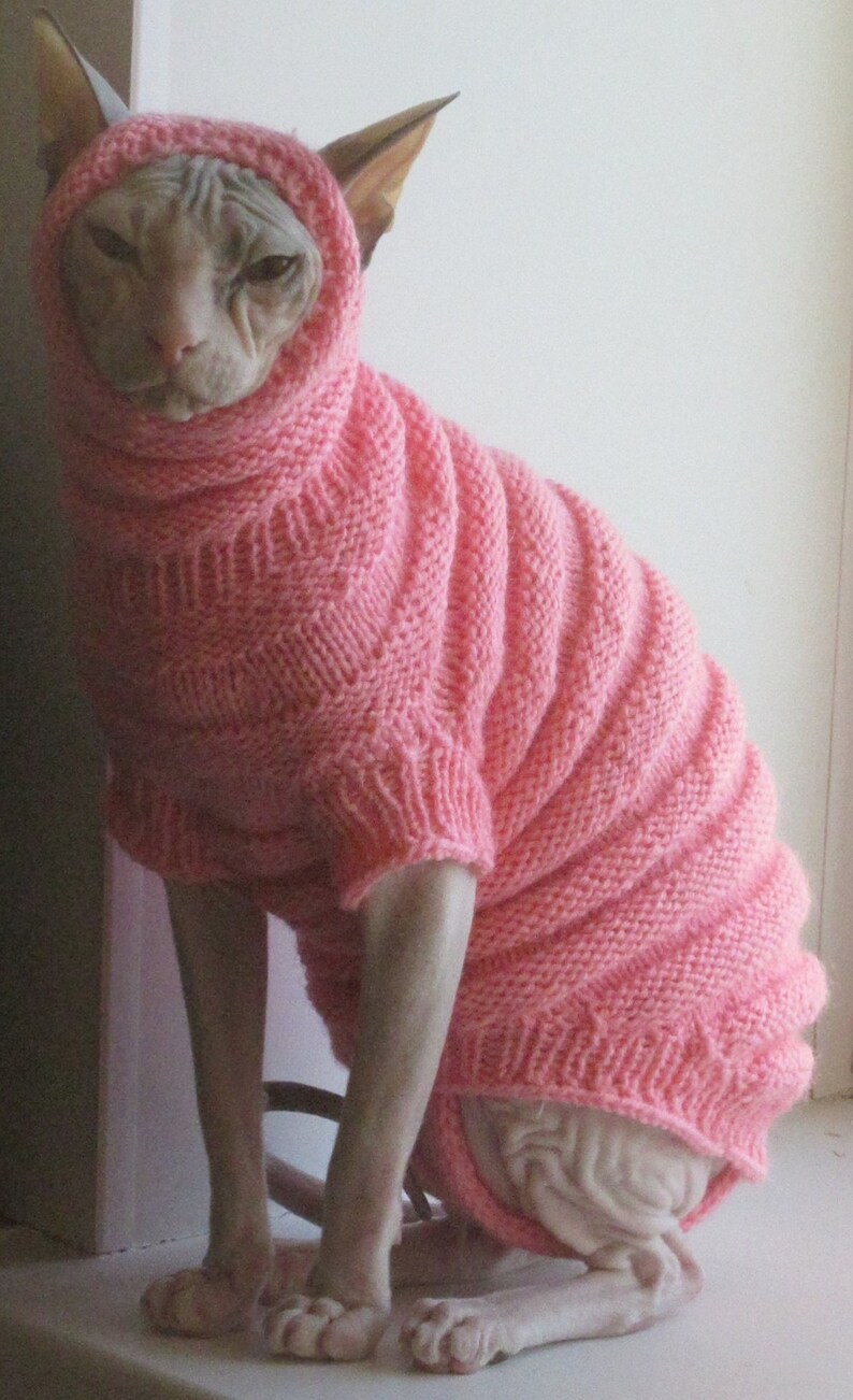 Clothing for cats Clothes for Sphynx Cat clothes sweater Etsy