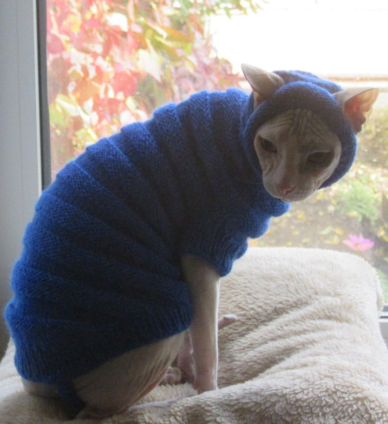 Clothing for cats Clothes for Sphynx Cat clothes sweater Etsy