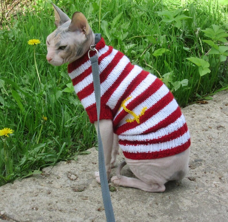 Clothing for cats Clothes for Sphynx Cat clothes sweater Etsy