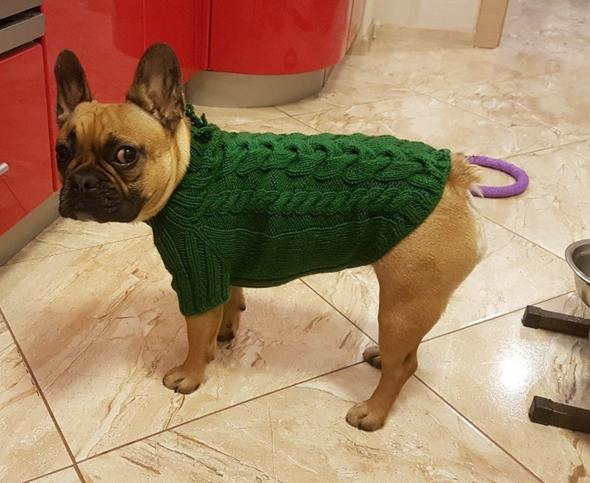 Dog clothes French bulldog sweater French bulldog clothing Etsy