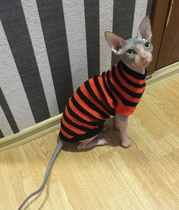 Vetements Pour Chats Vetements Pour Sphynx Vetements De Etsy