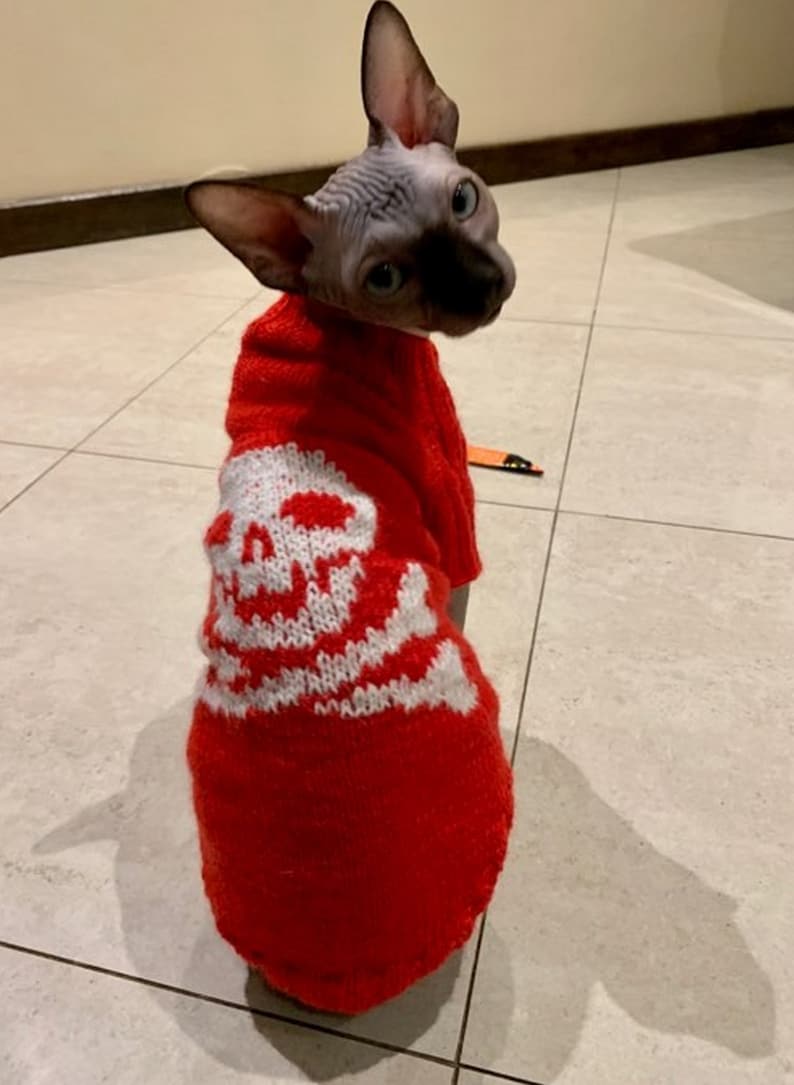 Clothing for Cats Clothes for Sphynx Cat Clothes Sweater Etsy