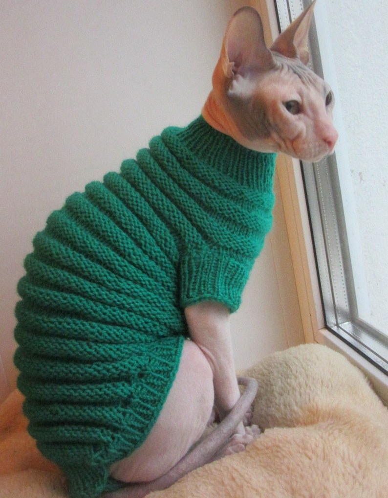 Kleidung für Katzen Kleidung für Sphynx Katzenkleidung Etsy