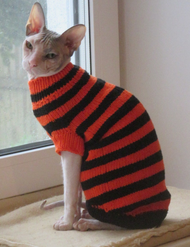 33 Best Photos Sphynx Cat Sweater - Free Shipping Sweater for a Cat Sweater for a Sphynx Cat ...