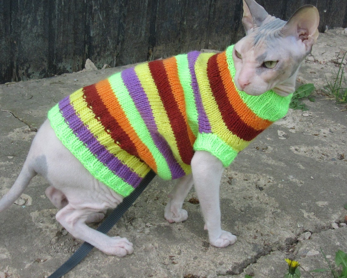 Clothing for cats Clothes for Sphynx Cat clothes sweater Etsy