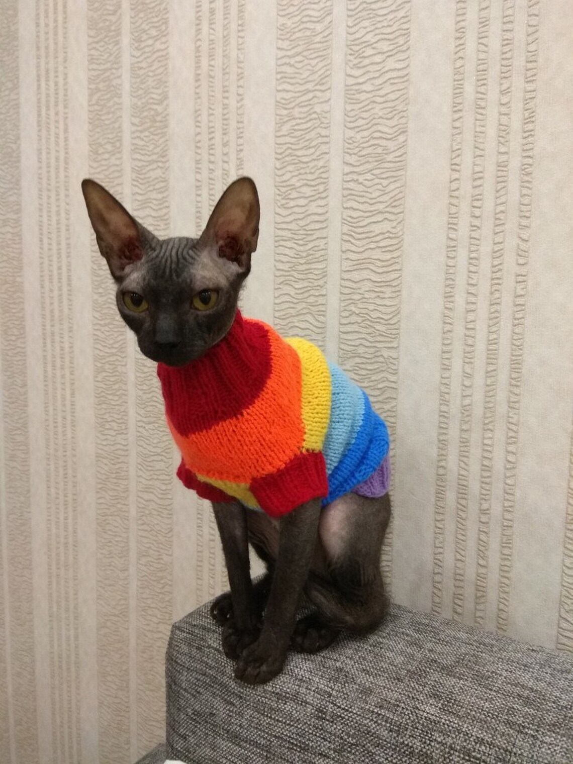 Clothing for cats Clothes for Sphynx Cat clothes sweater Etsy