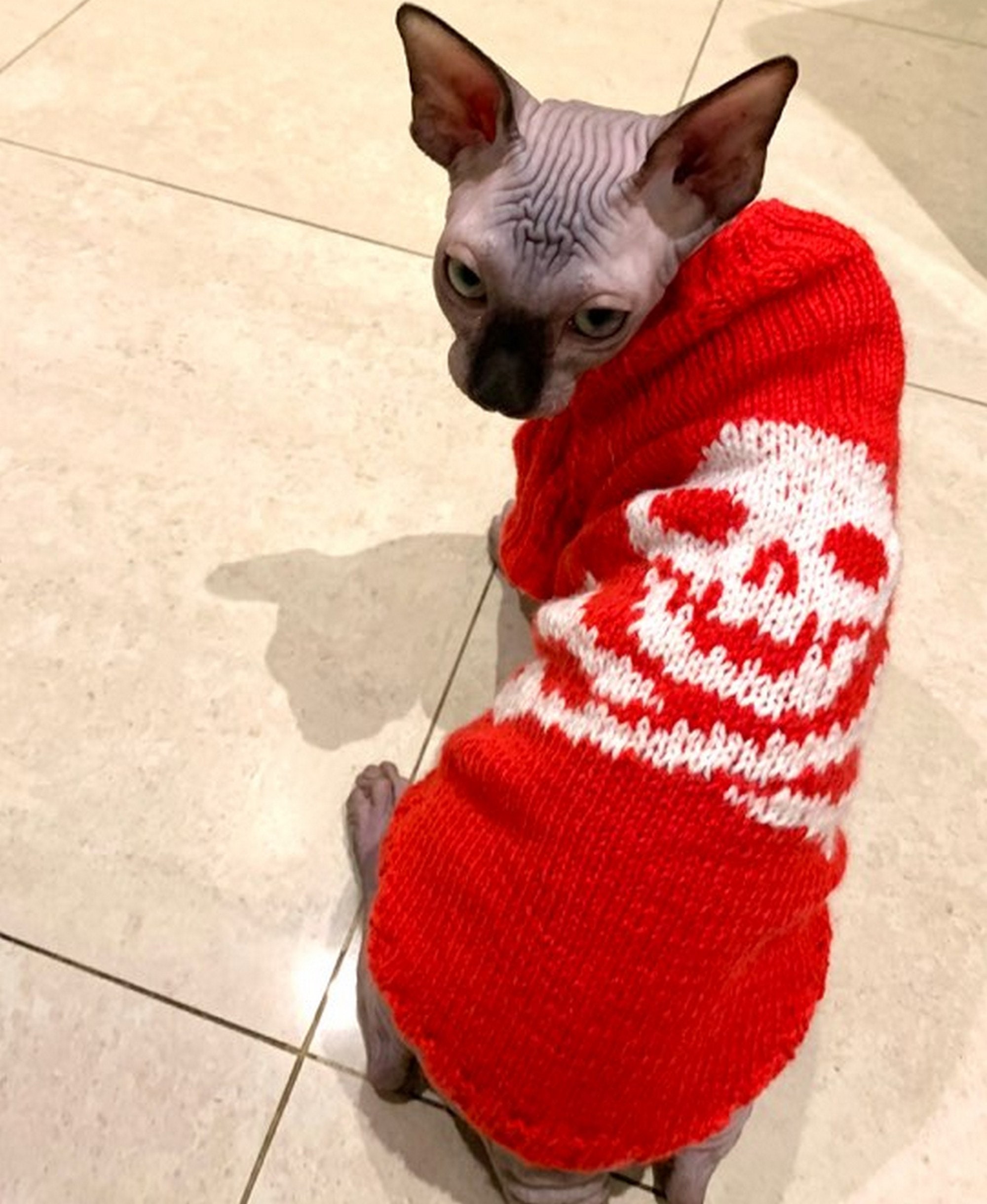 Clothing for Cats Clothes for Sphynx Cat Clothes Sweater Etsy