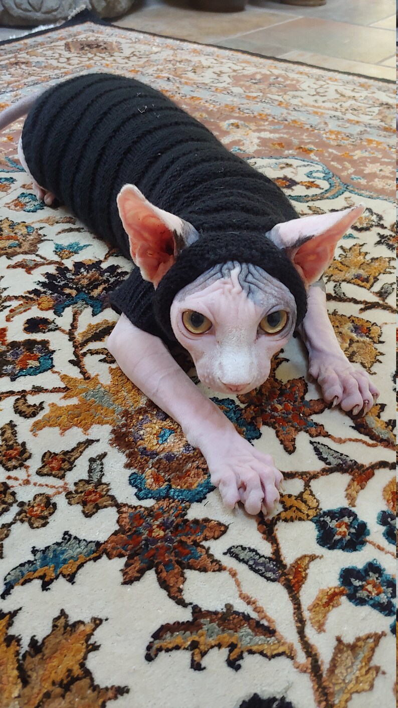 Clothing for cats Clothes for Sphynx Cat clothes sweater Etsy