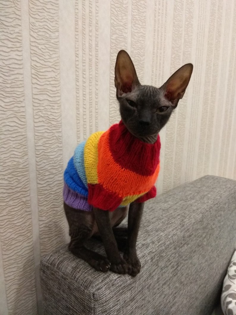 Clothing for cats Clothes for Sphynx Cat clothes sweater Etsy