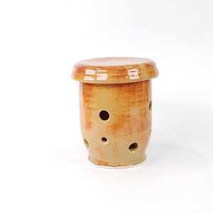 May include: A ceramic garlic keeper with a lid. The keeper is cylindrical with several round holes and a lid. The color is a blend of tan and brown with a glossy finish. The keeper is designed to store garlic.