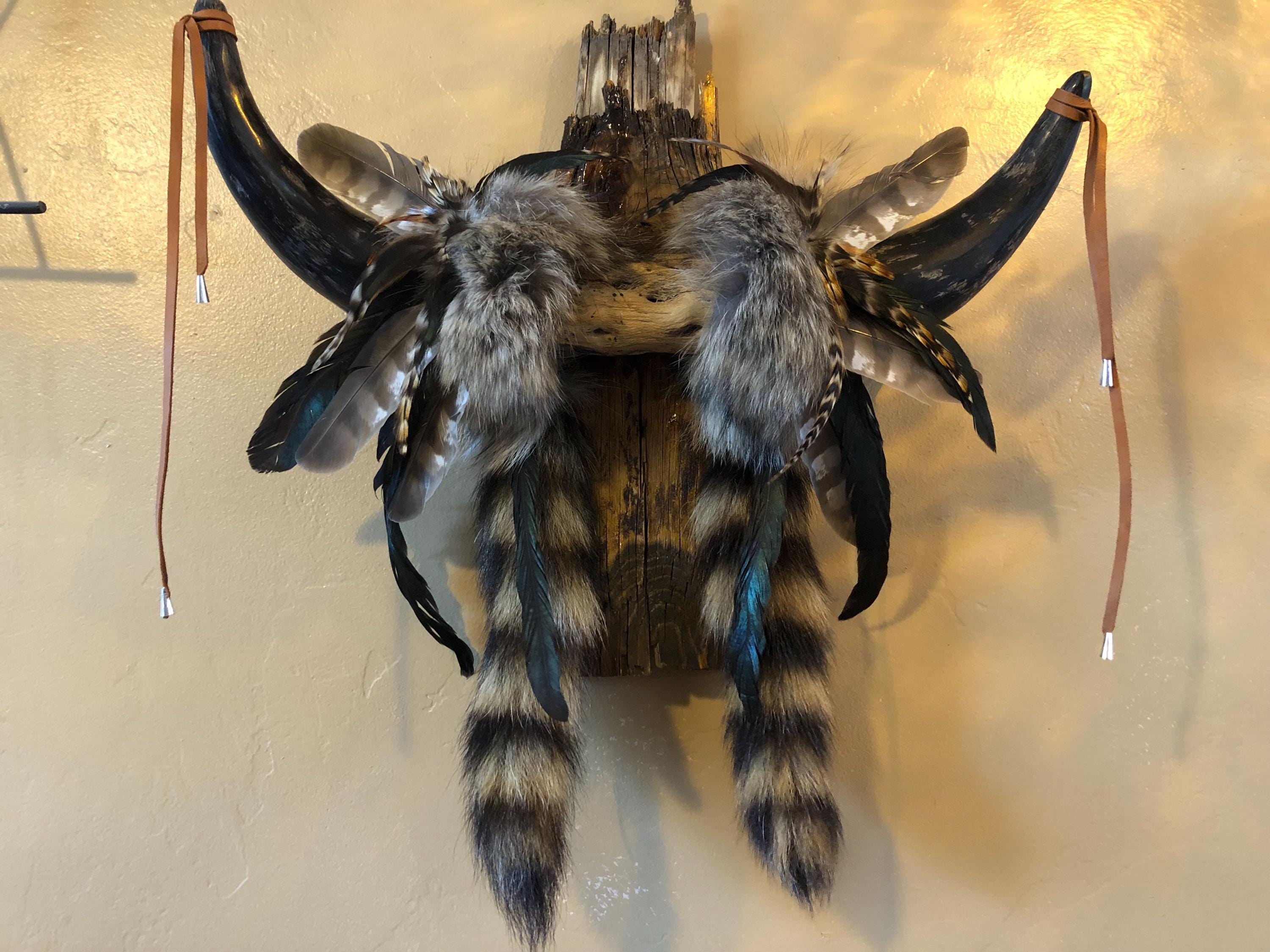 Buffalo Horn Headdress Mounted on Wood With Fur and Feathers