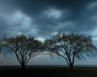 Fine art photography color photograph print Weeping Willow Trees Wind Moody Clouds Motion Ohio wall art home decor "Two Willow Trees"