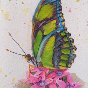 Farfalla verde-dipinto a acquarelli originale,pittura fiori rosa,ritratto di farfalla verde e gialla su fiori rosa,dipinti per camerette,