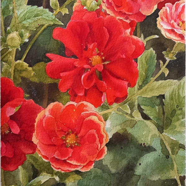 Potentilla-dipinto a acquarelli fiori rossi,dipinto originale,fiori estivi,potentille in gruppo,pittura floreale,arbusto dal fogliame verde