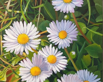 Daisies-Oil painting, original painting, painting of white flowers, floral painting, flowering meadow of daisies, yellow spring flowers