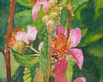 Bramble - original watercolor painting, painting of pink blackberry flowers in the undergrowth, floral painting, group of bramble flowers with thorns
