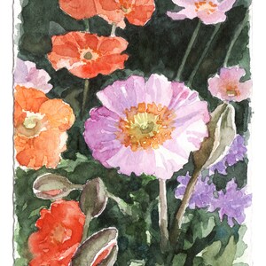 Papaveri nudicauli-dipinto a acquarelli originale,boccioli di fiori colorati,pittura di papaveri in gruppo,pittura floreale,miniatura fiori