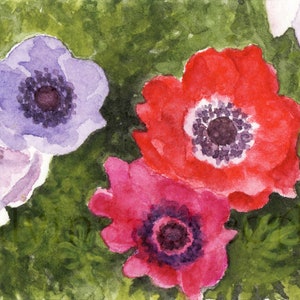May include: Watercolour painting of three anemones. One is purple, one is red, and one is pink. The flowers are painted on a green background.