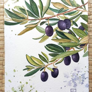 Olea europaea-dipinto originale ad acquarello,pittura rami foglie d'ulivo,ramoscelli e olive,acquarello botanico,cartolina da collezione,