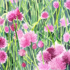 Chives-original watercolor painting,pink flowers,original painting,purple flower painting,floral painting,flower meadow,pink grass
